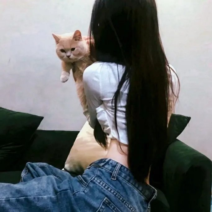 小小羊儿要回家